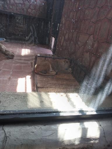 عکس دهکده طبیعت قزوین (باراجین)