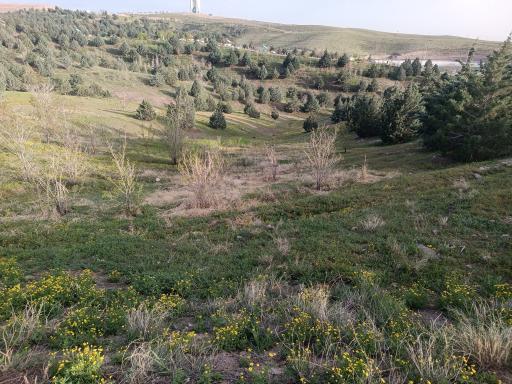 عکس دهکده طبیعت قزوین (باراجین)