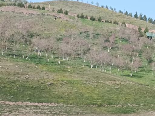 عکس دهکده طبیعت قزوین (باراجین)