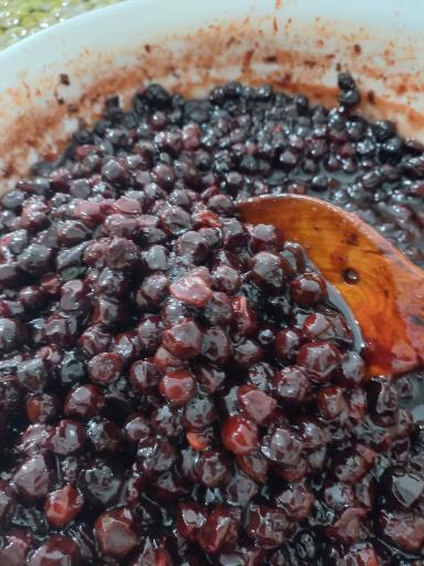 پروتئین طارمیا