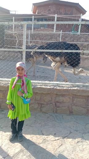 عکس دهکده طبیعت قزوین (باراجین)