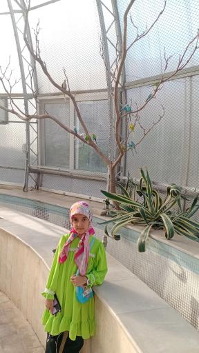 عکس دهکده طبیعت قزوین (باراجین)
