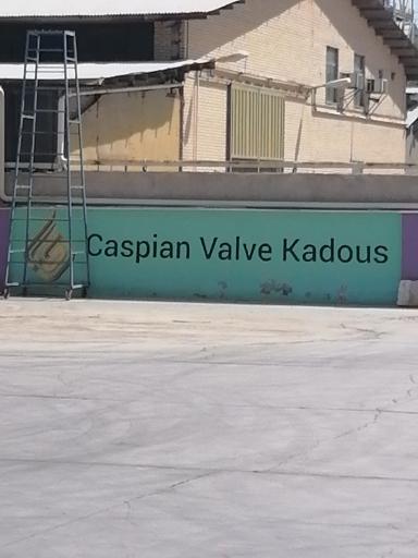 عکس شرکت کاسپین شیرکادوس