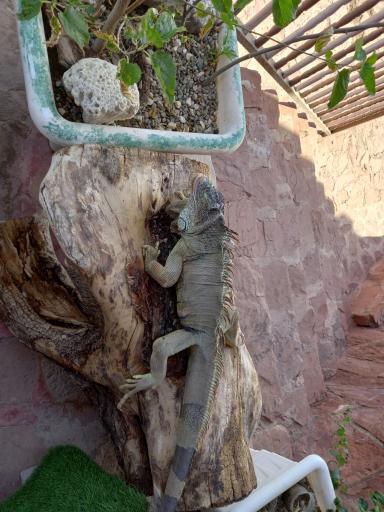عکس دهکده طبیعت قزوین (باراجین)