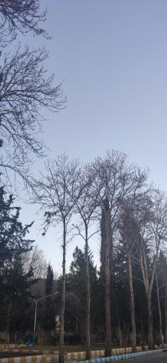 عکس پارک مجاهدین