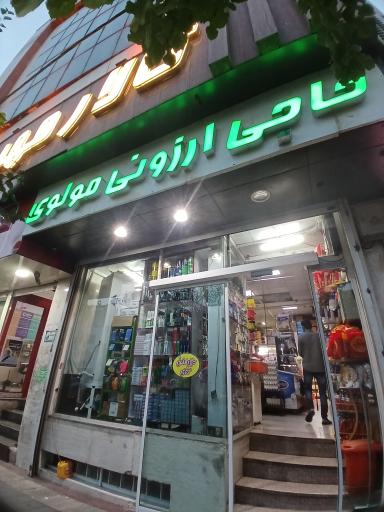 حاجی ارزونی مولوی