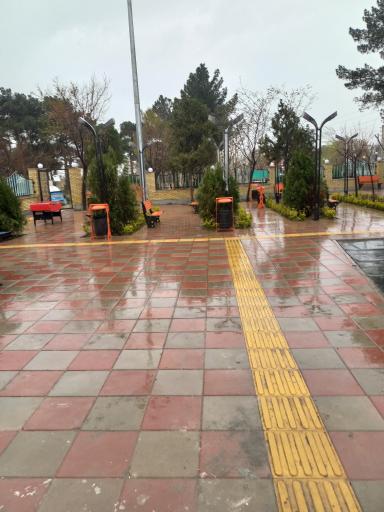 عکس جعفر آباد جنگل