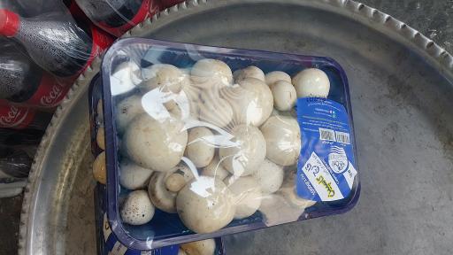 عکس مرغ و پروتئین احسان 