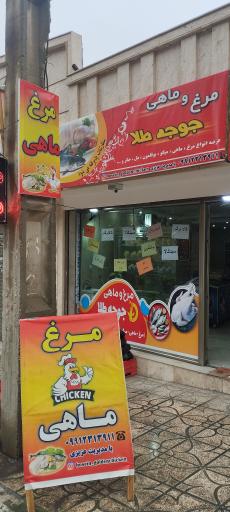 عکس مرغ و ماهی جوجه طلا