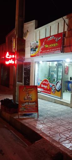عکس مرغ و ماهی جوجه طلا