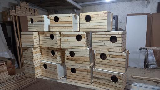 عکس لانه سازی رامین 