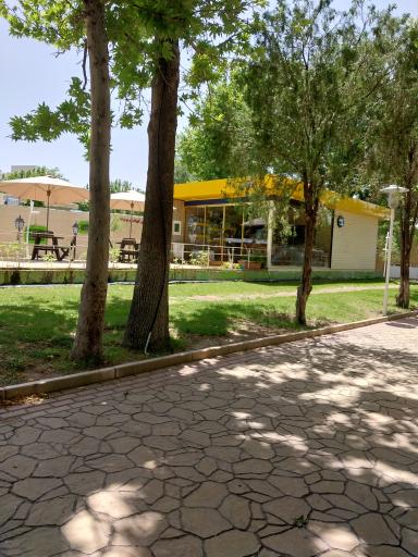 عکس کافه کتاب