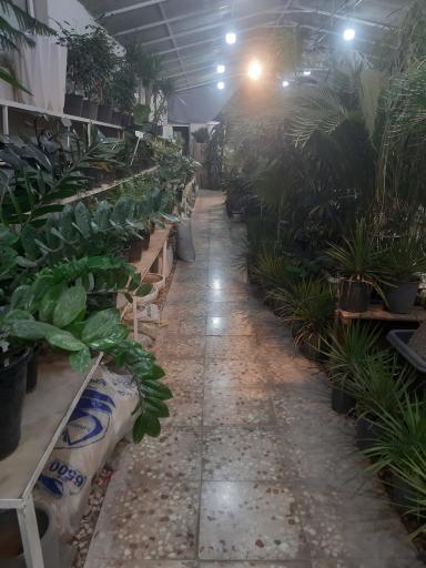 عکس سرزمین گل