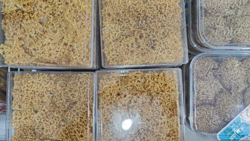 عکس شیرمال سرای رضا