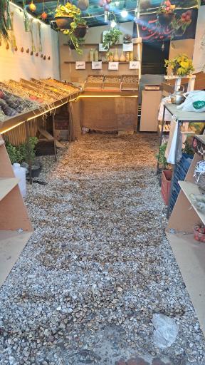 عکس ایستگاه انار قصردشت