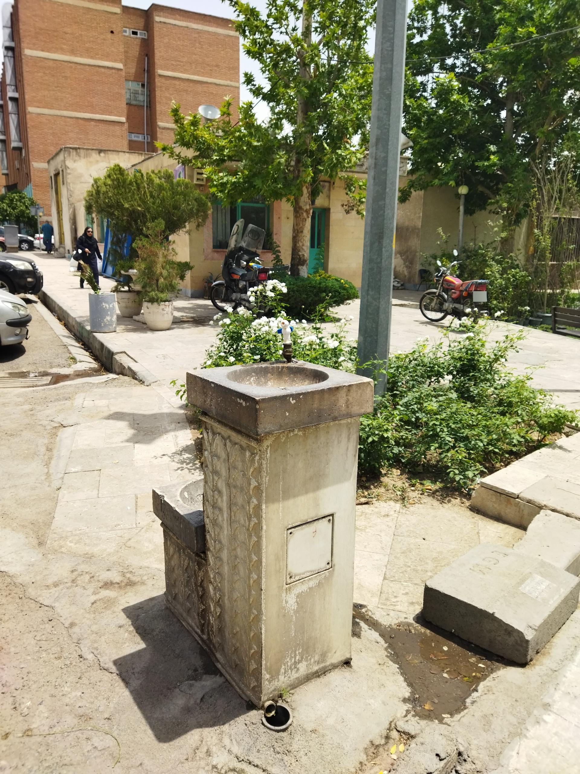 عکس بوستان ورزش