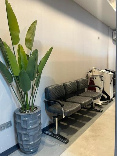 عکس فیزیوتراپی تبسم 