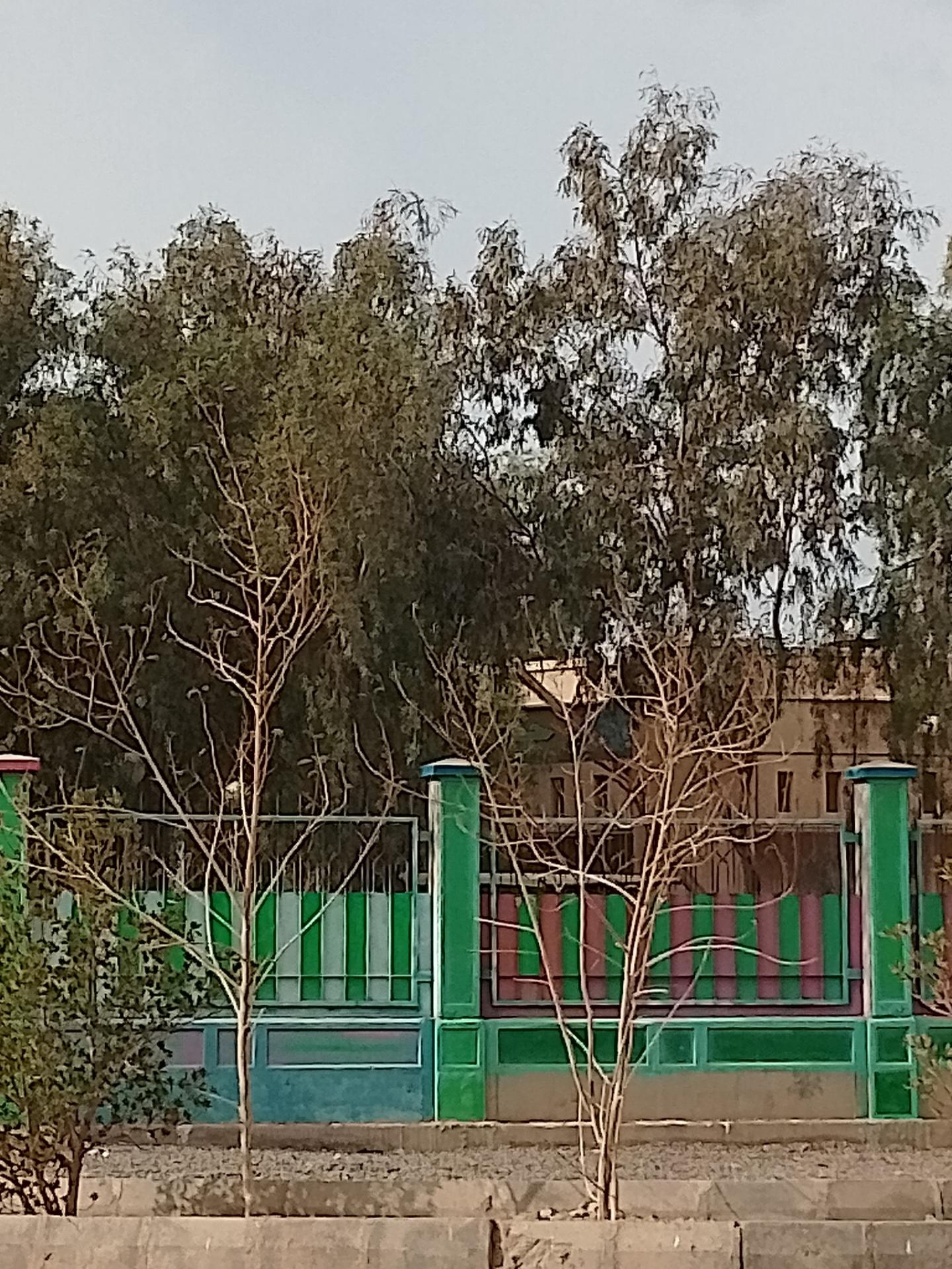 عکس فاطمیه اعظم بروات 