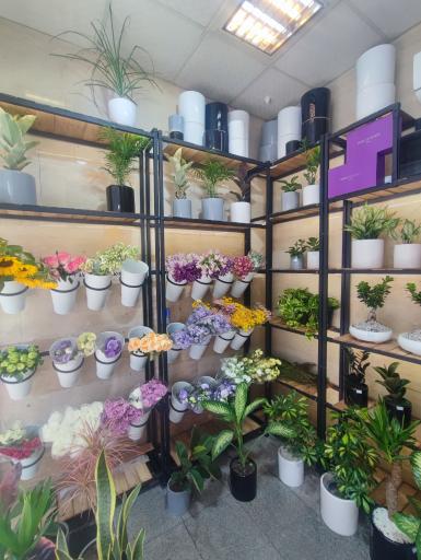 عکس گل فروشی لونا