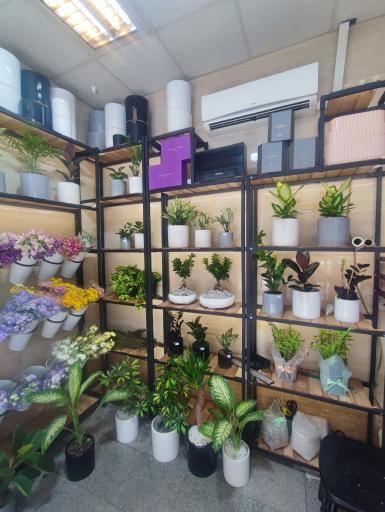 عکس گل فروشی لونا