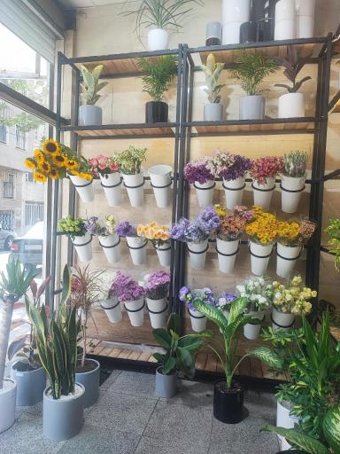 عکس گل فروشی لونا