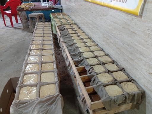 عکس کارگاه نیشکر سرخ جهانی