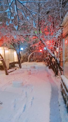 عکس رستوران باغ سیب