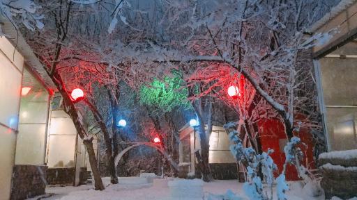 عکس رستوران باغ سیب