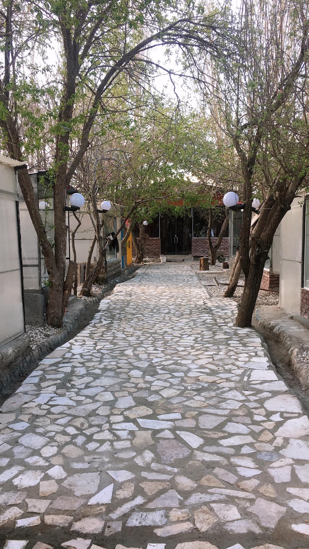 عکس رستوران باغ سیب