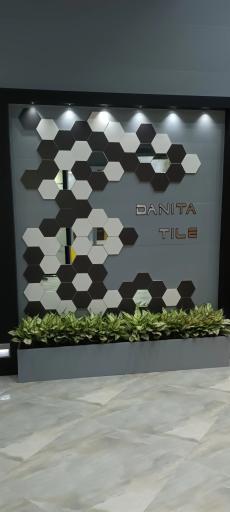 عکس کاشی دانیتا