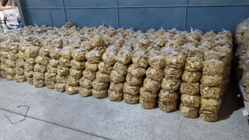 عکس نان خشک سنتی یزد 