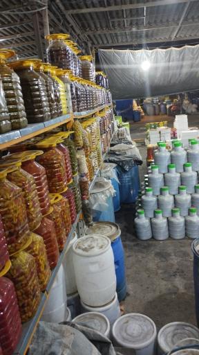 عکس پخش خیار شور و ترشیجات سرمدی