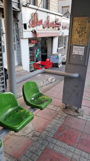 عکس جگرسرای سالار