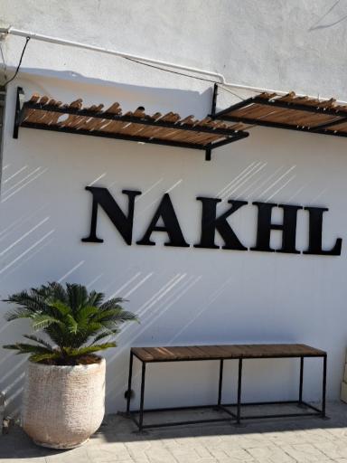 عکس شاورما نخل