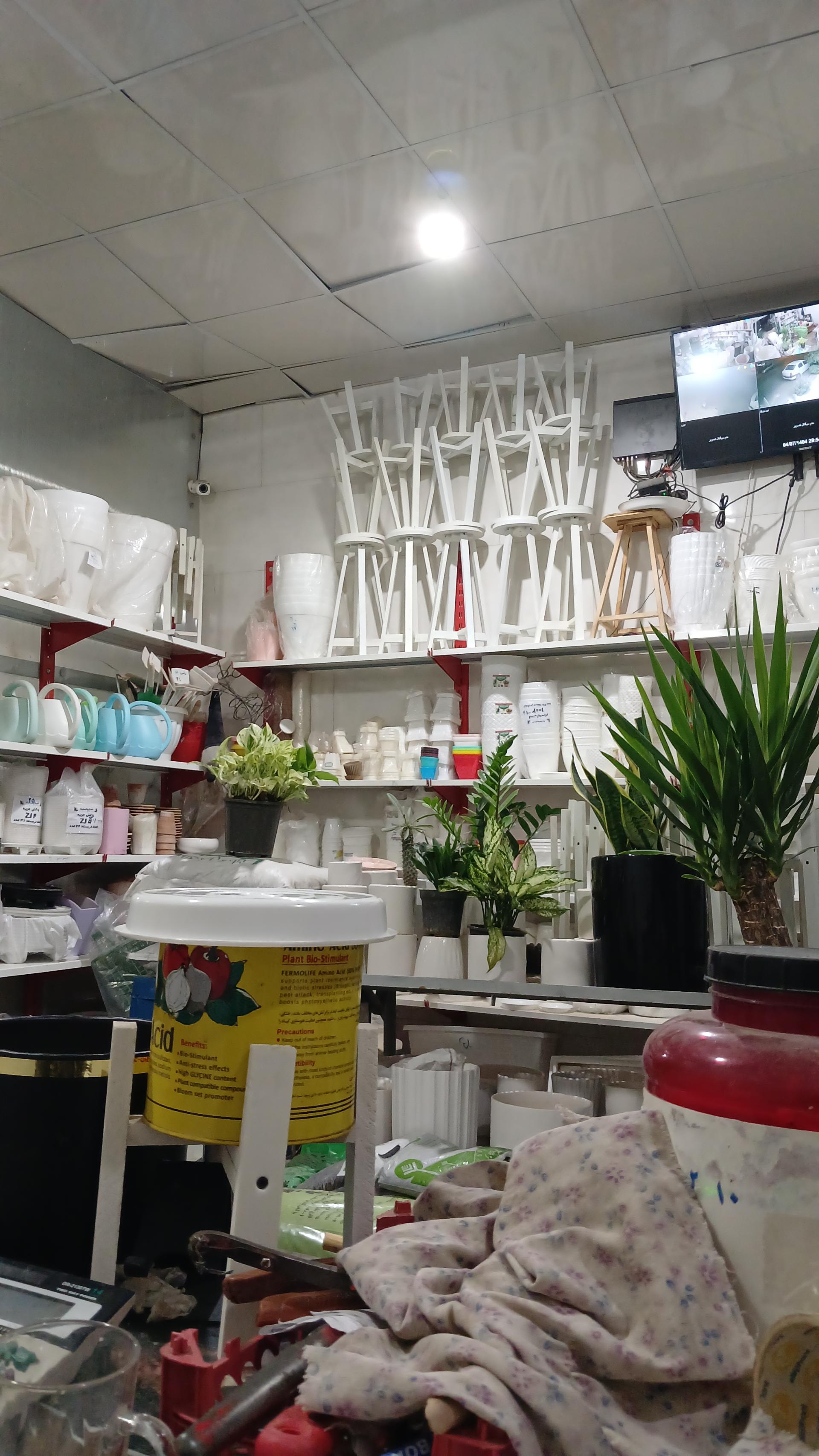 عکس گلسرای نفیس