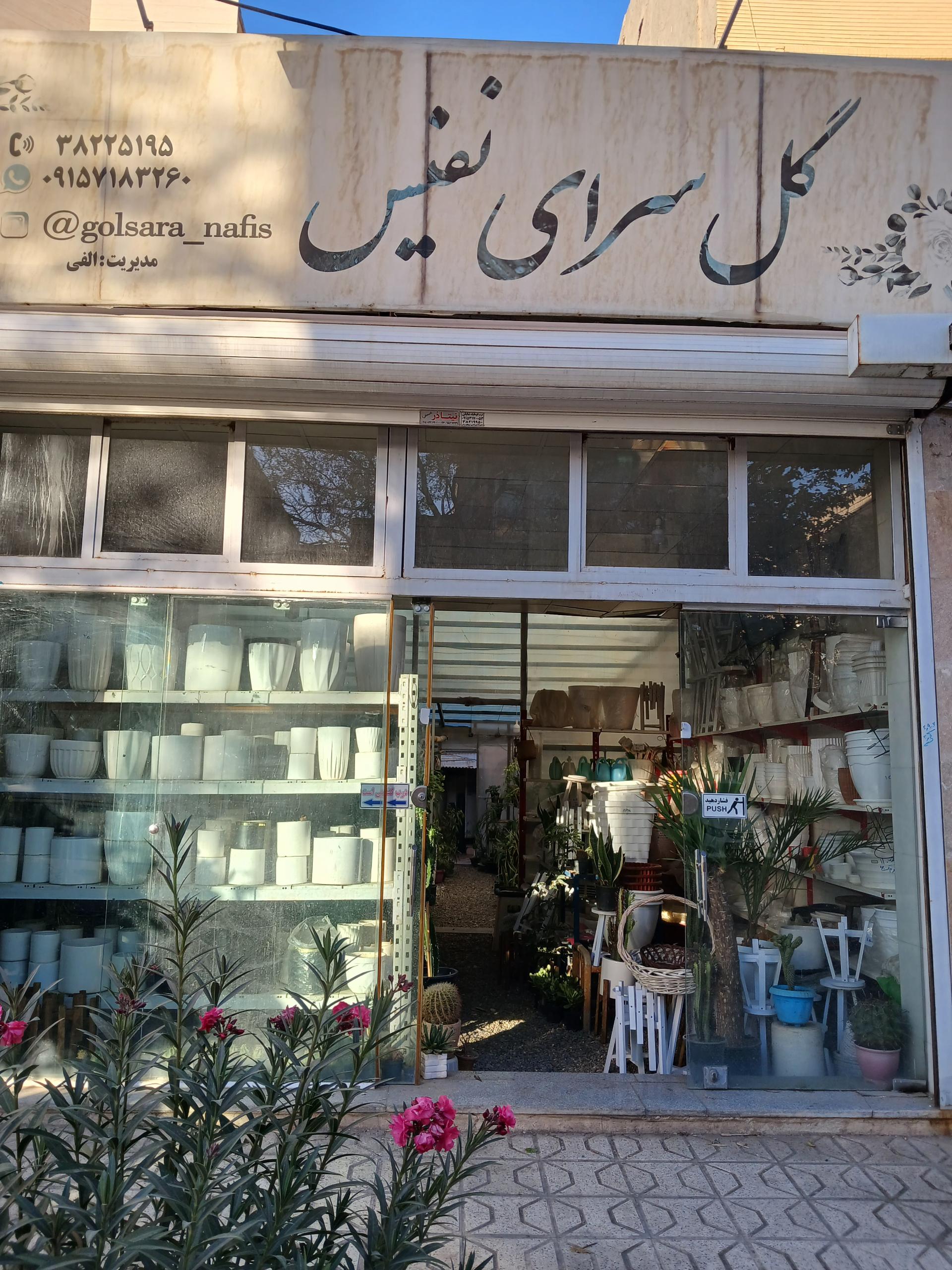 عکس گلسرای نفیس