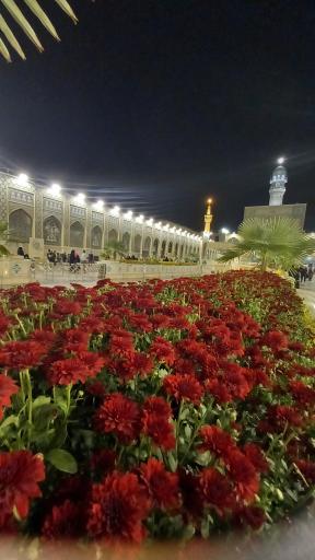 عکس حرم مطهر امام رضا