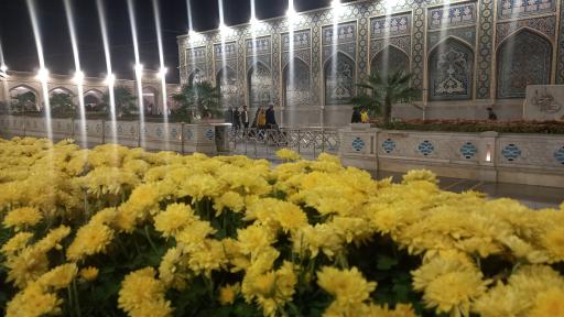 عکس حرم مطهر امام رضا