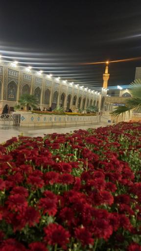 عکس حرم مطهر امام رضا