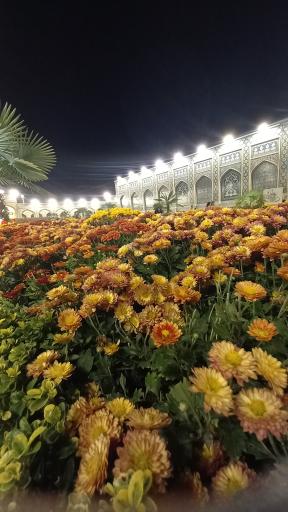 عکس حرم مطهر امام رضا