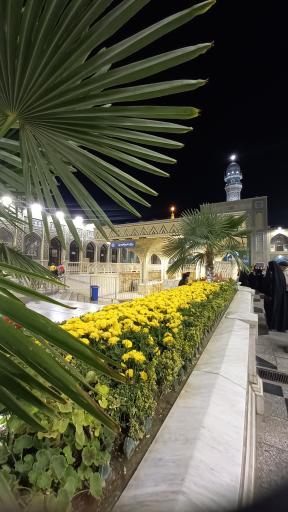 عکس حرم مطهر امام رضا