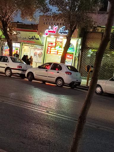 عکس سکه گلشن