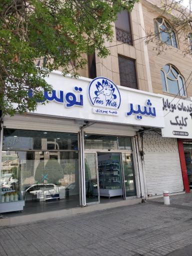 نمایندگی شیر توس