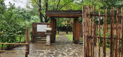 عکس باغ ژاپنی 