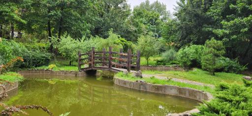 عکس باغ ژاپنی 