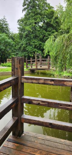 عکس باغ ژاپنی 