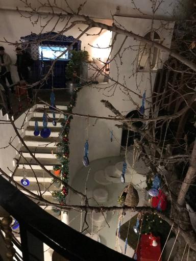 عکس رستوران رسم نو