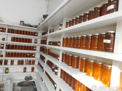 عکس عسل‌بالک