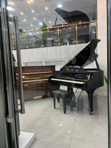 عکس پیانولند