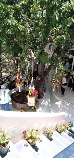 عکس رستوران رسم نو